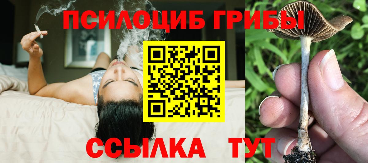 Псилоцибиновые грибы Cubensis Фрязино